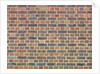 Brickwall by Assaf Frank